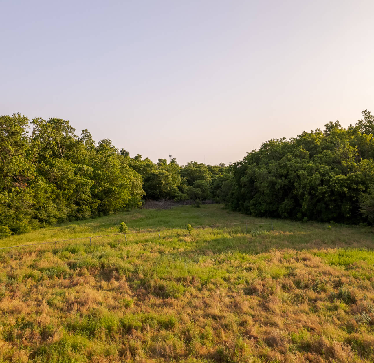 Lexford Park Community