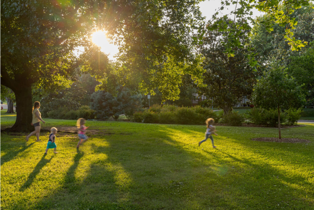 Lexford Park Green Spaces